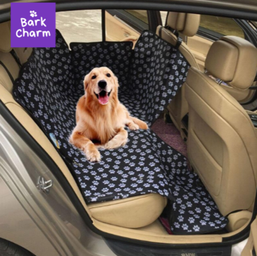 Dog Accessories Fundamentals Explained