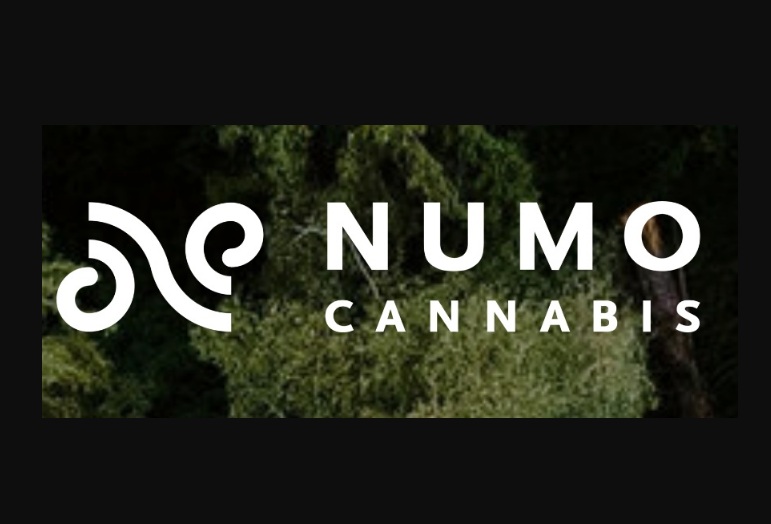 7 Guidelines For Picking A great Cannabis Dispensary