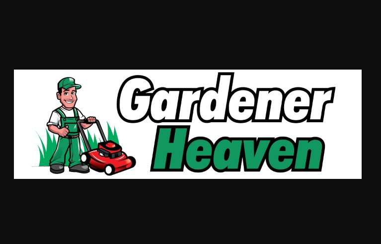 Factors Why You ought to Acquire a Zero Turn Mower