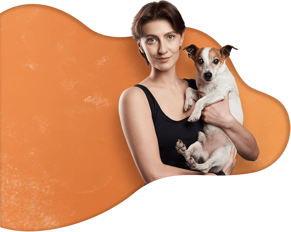 Dog Training Advice - The Way To Do Obedience Training For The Dog