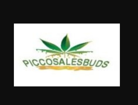 5 Advantages of Getting Cannabis from Online Dispensaries