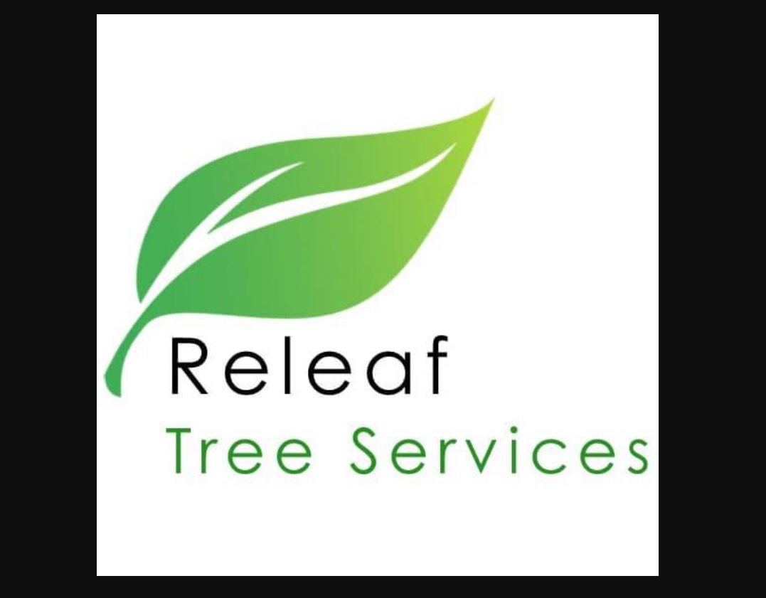 Deciding on a Tree Service Specialist