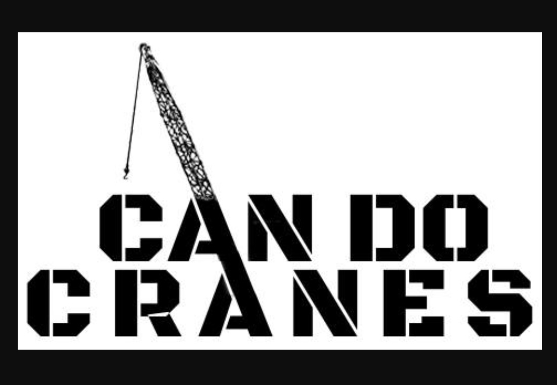 Crane Hire is preferable to Buying