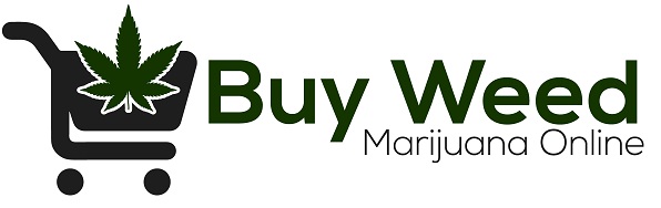 The Definitive Guide to Purchasing Cannabis Online
