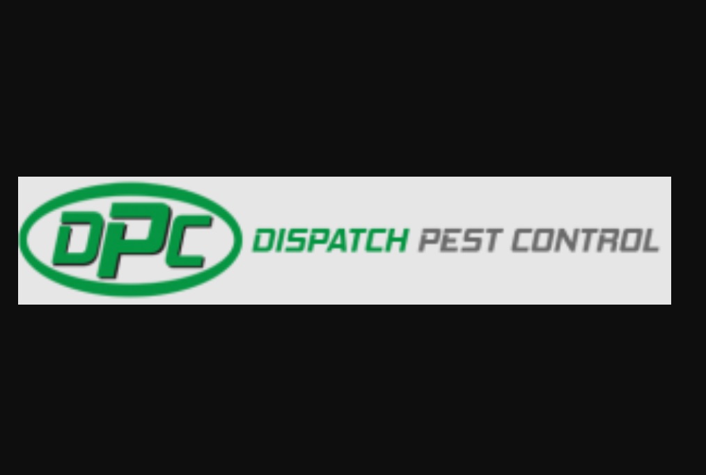 Why Pest Control Must be Still left for the Pros