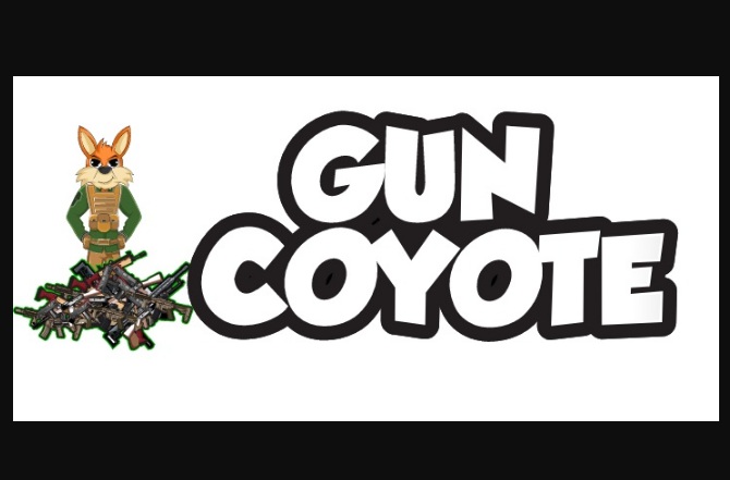 Guidelines for Acquiring Guns for Sale Online