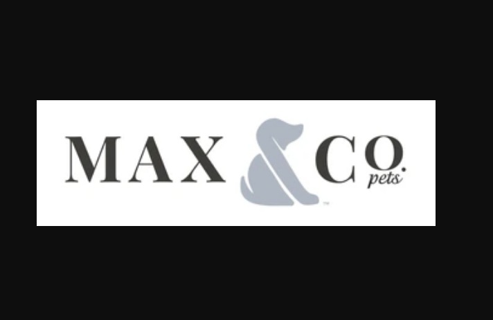 Dog Collars - What You must Know