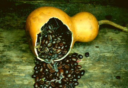 Strategies for Producing Iced Coffee