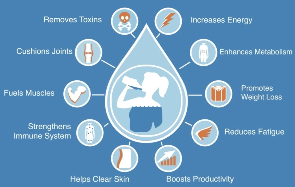 Why Insulated Water Bottles Are Good Tools