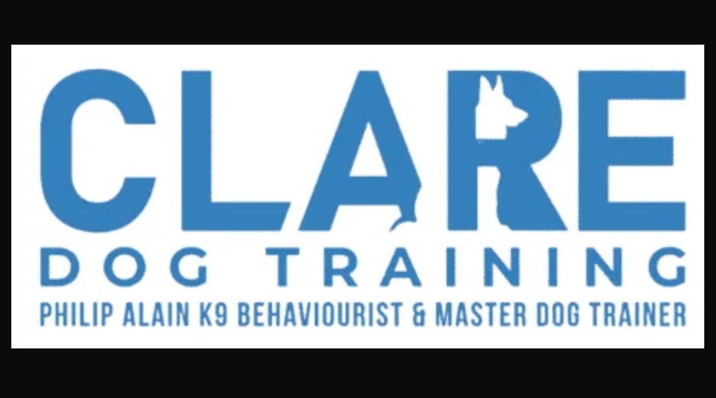 Seven Things to Think About While Choosing a Dog Trainer