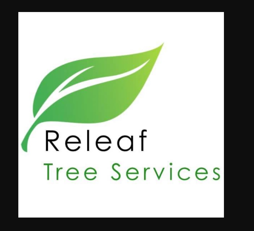 How you can Spot an excellent Tree Surgeon