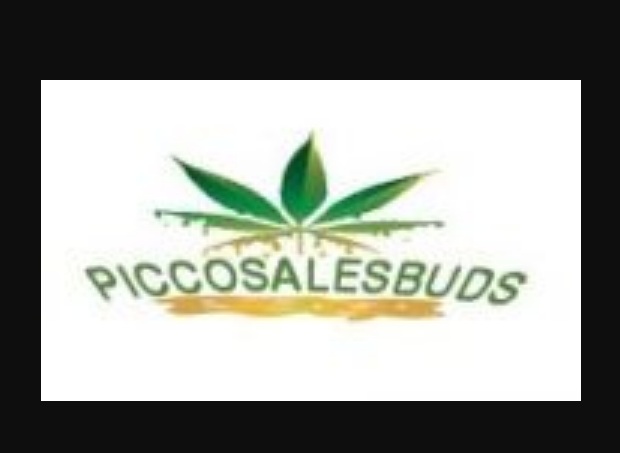 Factors To understand Prior to You Obtain Marijuana Online