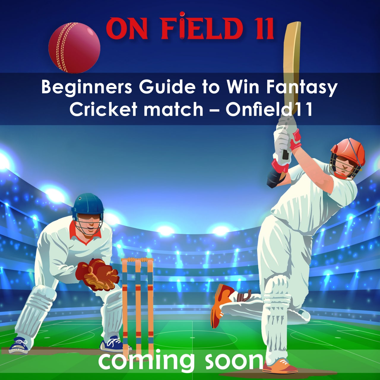 Beginners Guide to Win Fantasy Cricket match