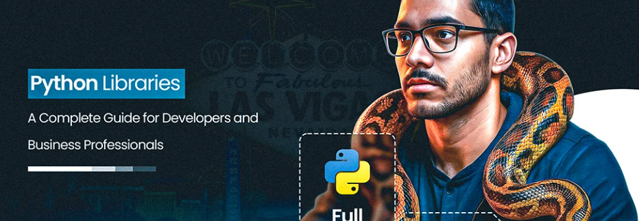 Essential Python Libraries for Developers and Business Applications