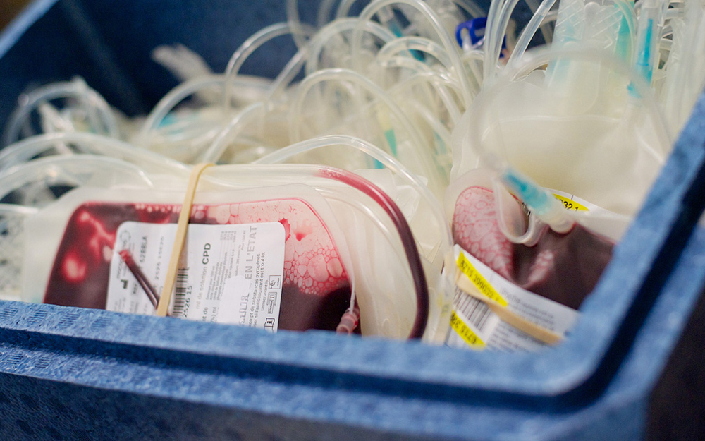 What Is The Specialty Of Cord Blood?