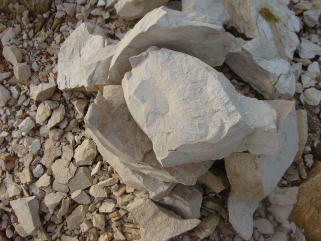 Diatomite Market Drivers, Restraints and Challenges Analysis Report 2023-2028