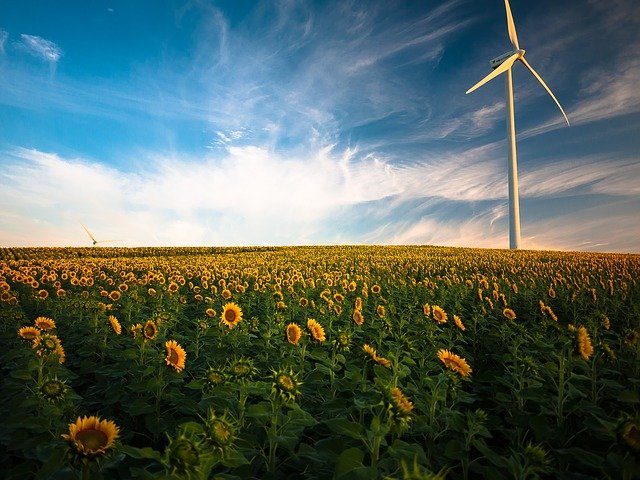 Power to Choose Texas - How It Works For Me