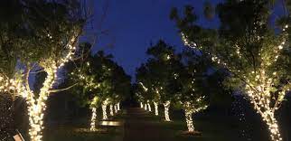 Highlight Your Greens With Garden Lighting