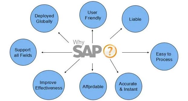 What is SAP?