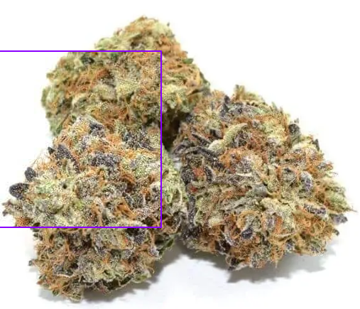 Reviewing the Sleep-Inducing Death Bubba Bud