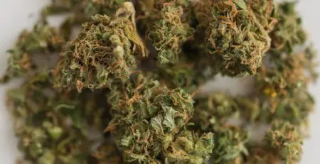 Did You Know These Health Benefits of Vaping CBD E-Liquid?
