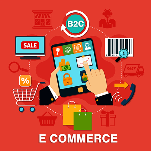 From Clicks to Customer Satisfaction: Building a Successful B2C E-Commerce Platform