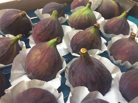 Fresh Figs Market Outbreak: Key Trends, Growth, Insights and Forecast to 2028: COVID-19 imapct