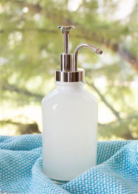 Natural Dish Washing Products Market - Global Industry Research Report 2020-2027