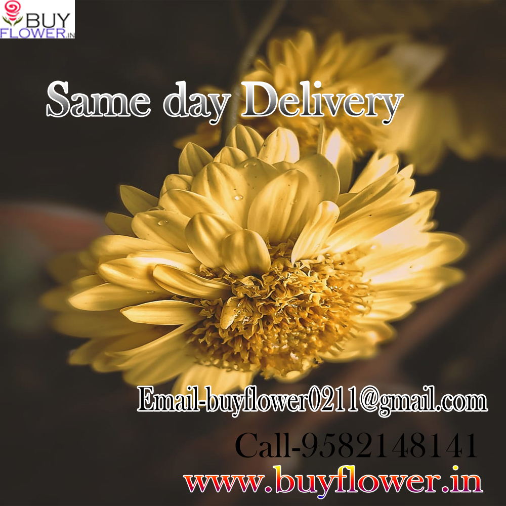 send flowers to Delhi