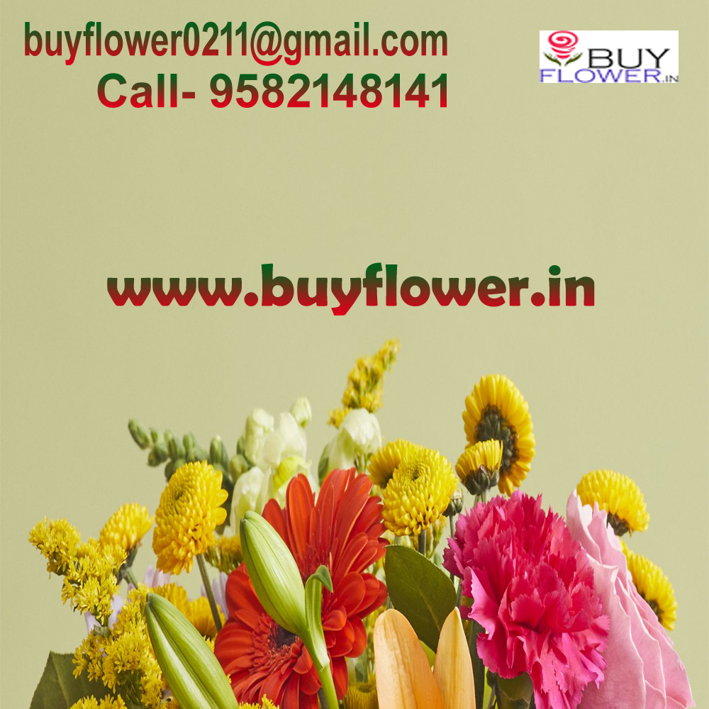 Buy online flowers noida