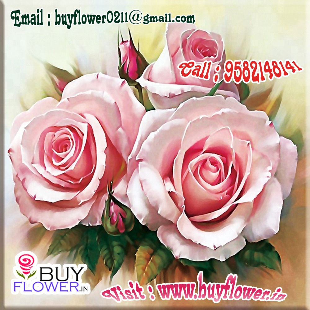 buy flowers near me