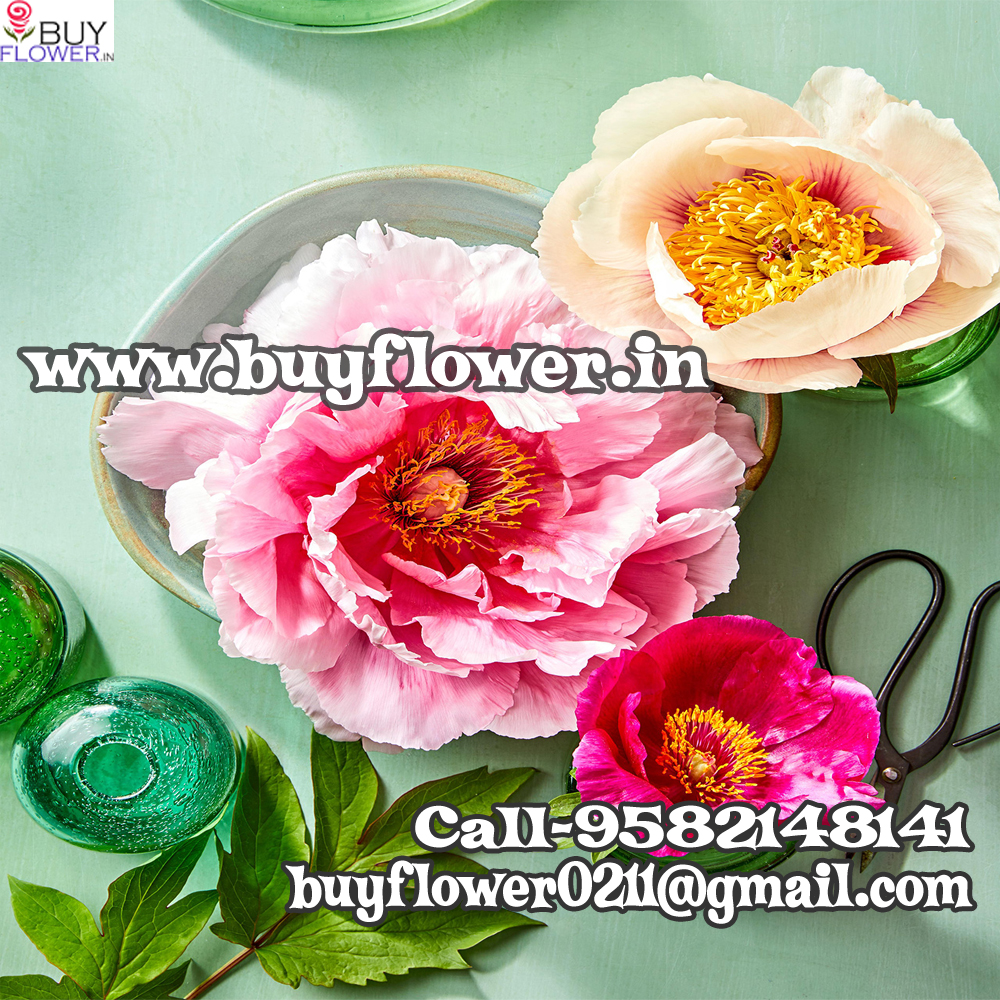 online flowers in patna