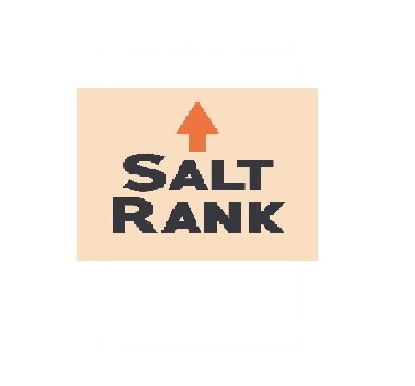 Kansas City SEO Services | Salt Rank