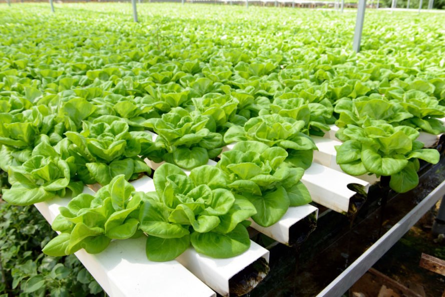 Global Vertical Farming Produce Market - 2019-2026