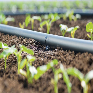 Global Agriculture Drippers Market Insights, Forecast to 2025