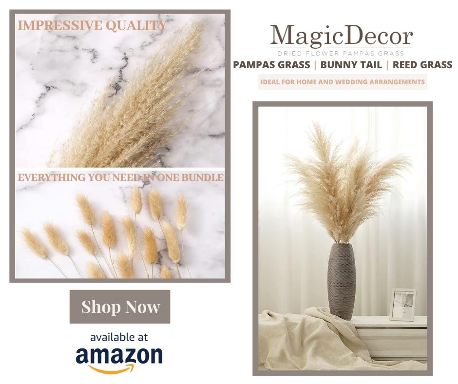 Important Things Know About Pampas Grass 