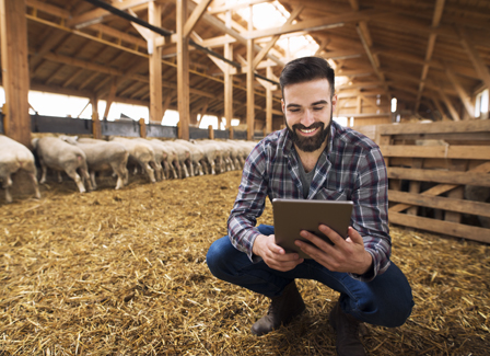 Trade license in Dubai - UAE | A&A Associate LLC