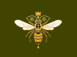 Cupcake Packaging Boxes