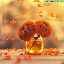 خرید ساعت مردانه