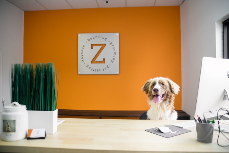 Veterinarians in Griffin GA