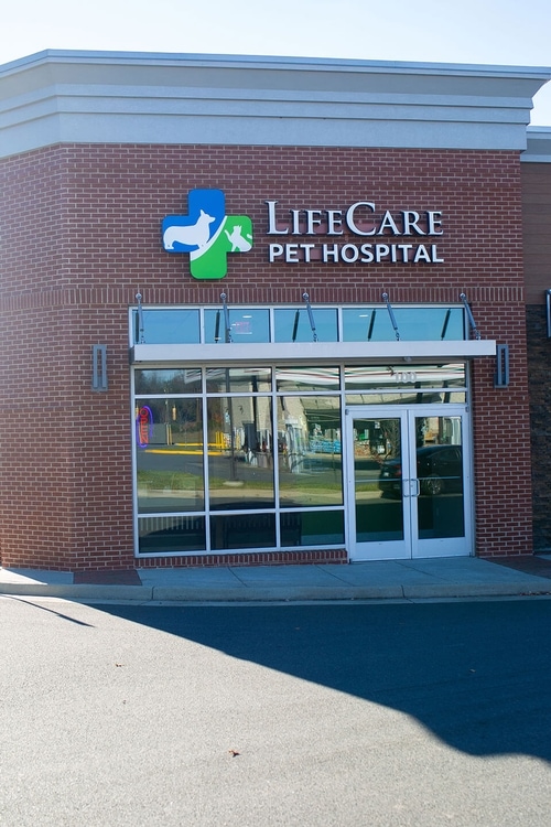 Pet Hospital in Chantilly, VA