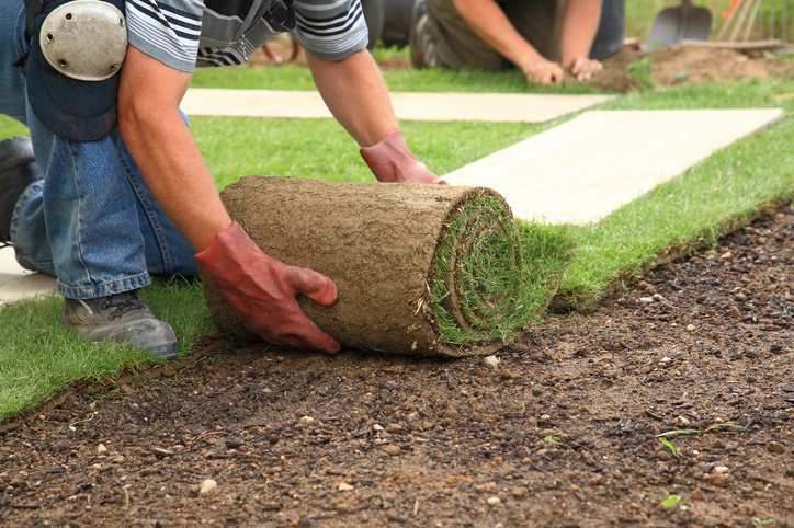 Are You Looking For Sod Installation? Contact The Lawn Johns