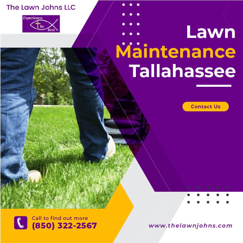Get Pro Tips about Lawn Maintenance in Tallahassee