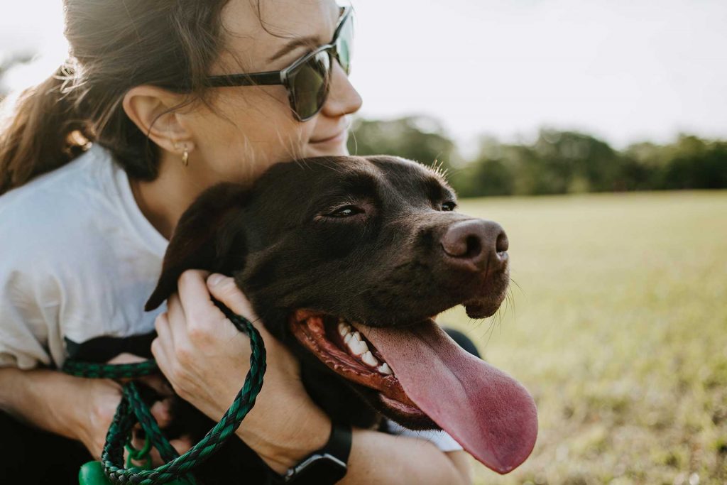 The Very Best Care for Your Pet | Castle Veterinary Clinic