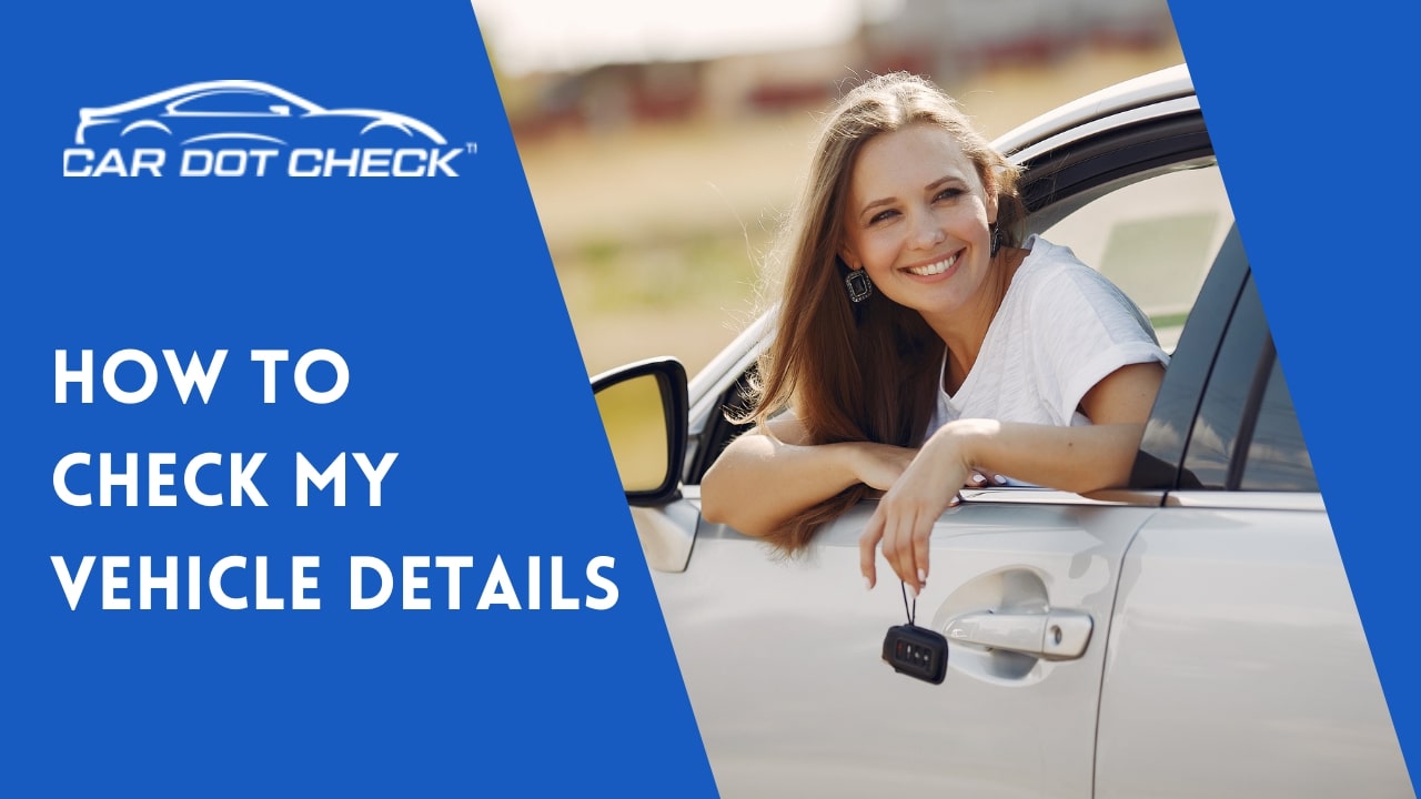 Check Vehicle Details