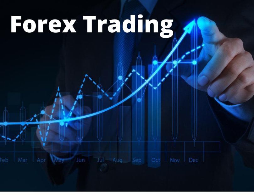 Learn Forex Trading With T1Markets