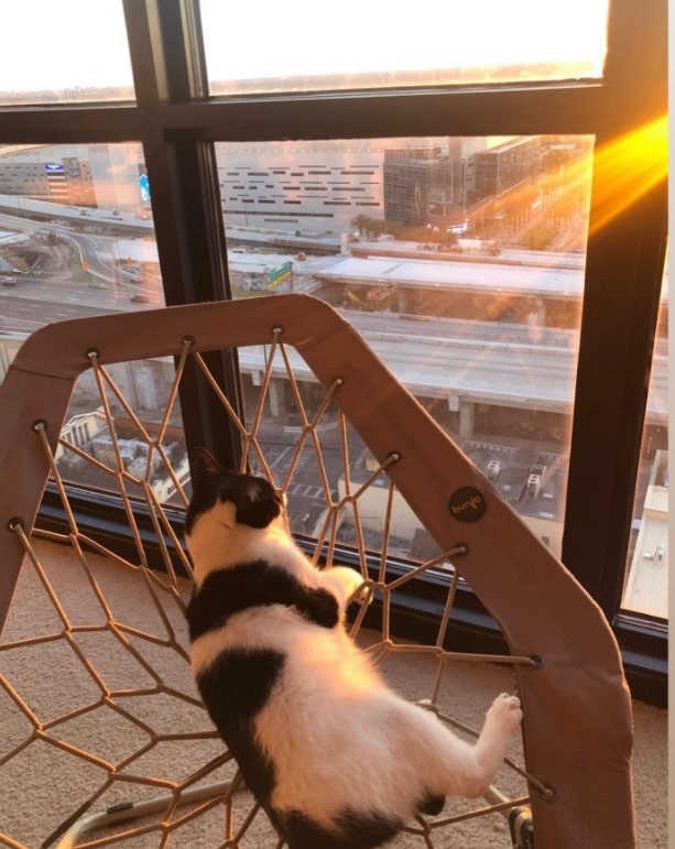 Luxury Apartments in Orlando