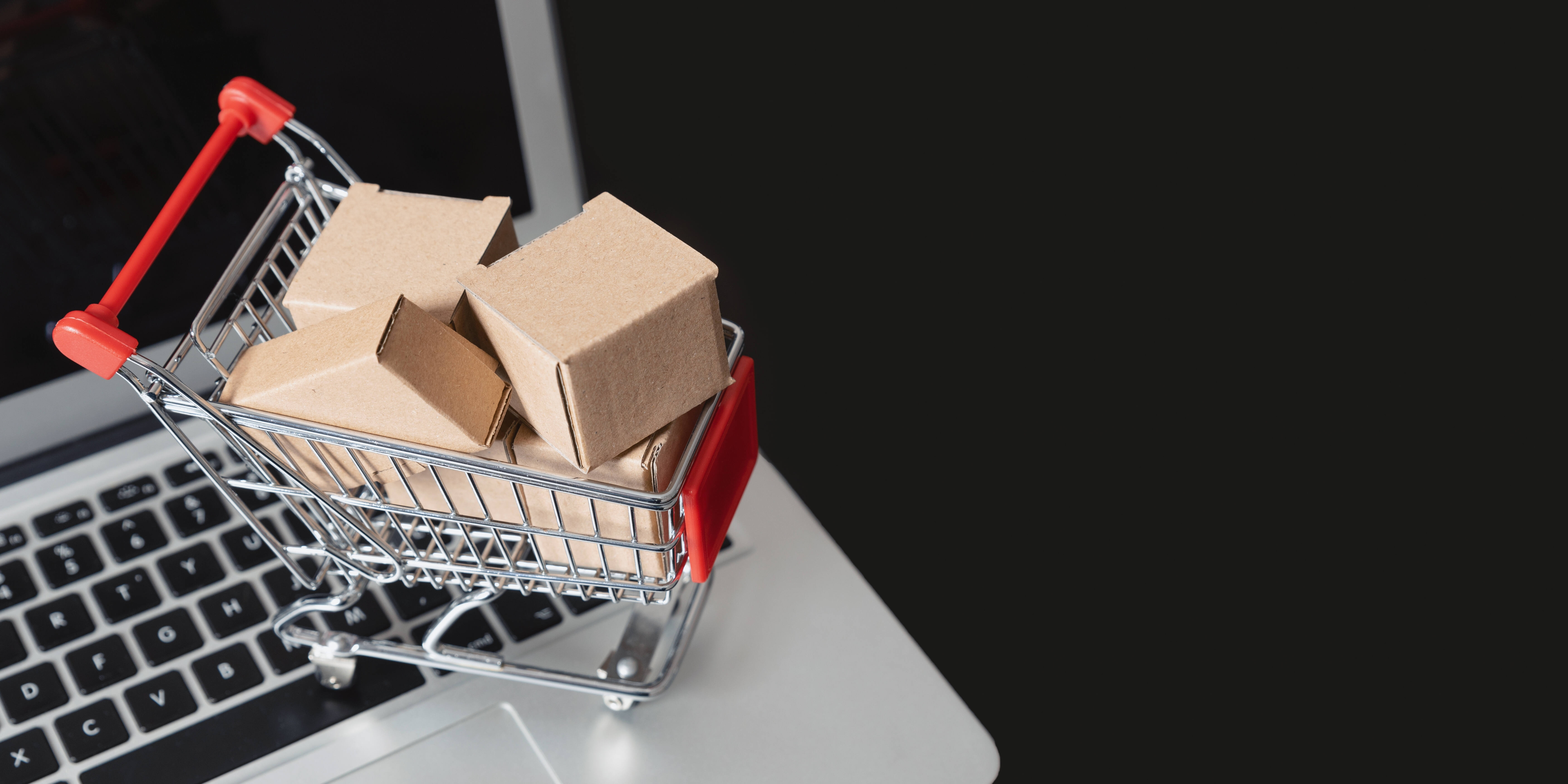 Top 5 Best Ecommerce Product Photo Editing Softwares