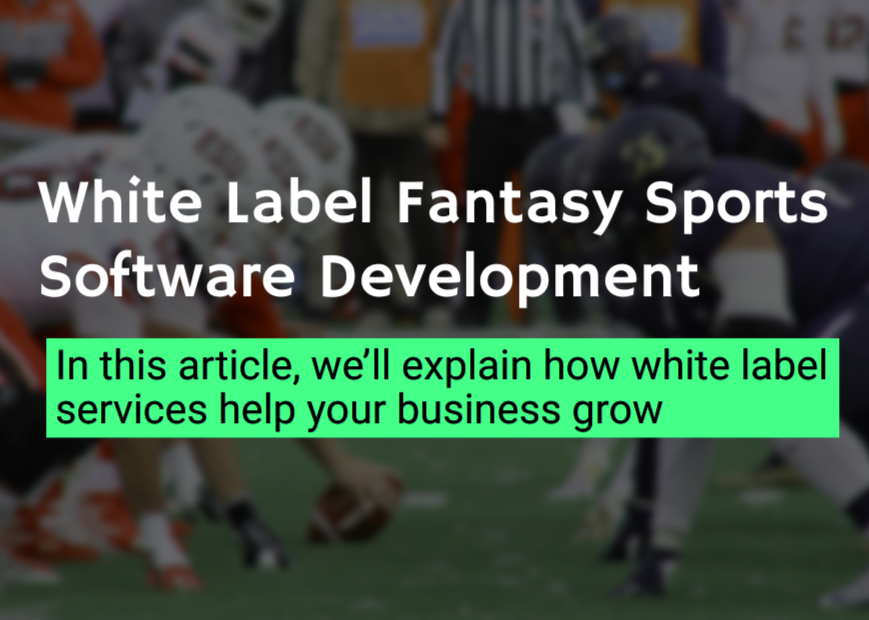 White Label Fantasy Sports Software Development