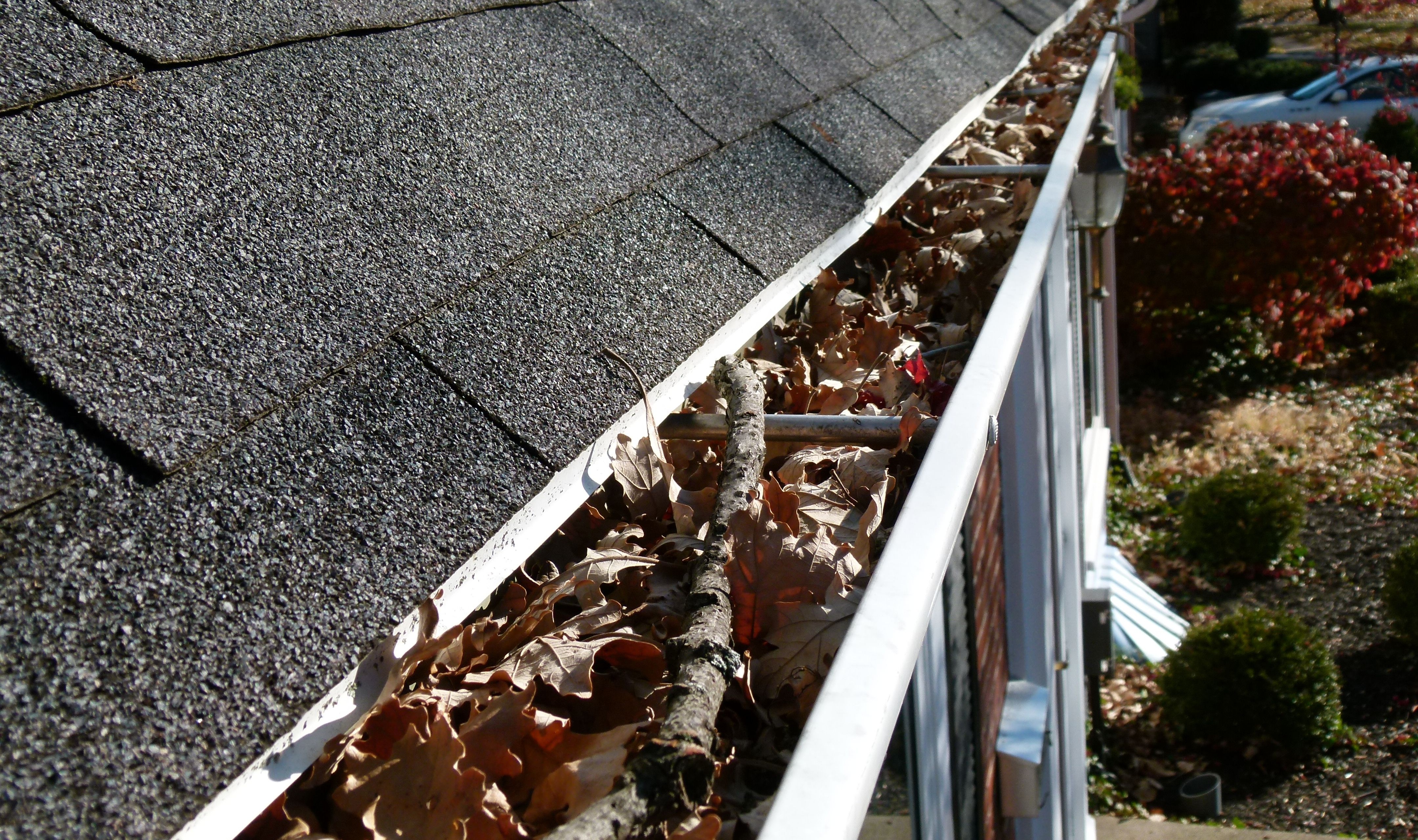 Cleaning of gutters & windows in a professional way